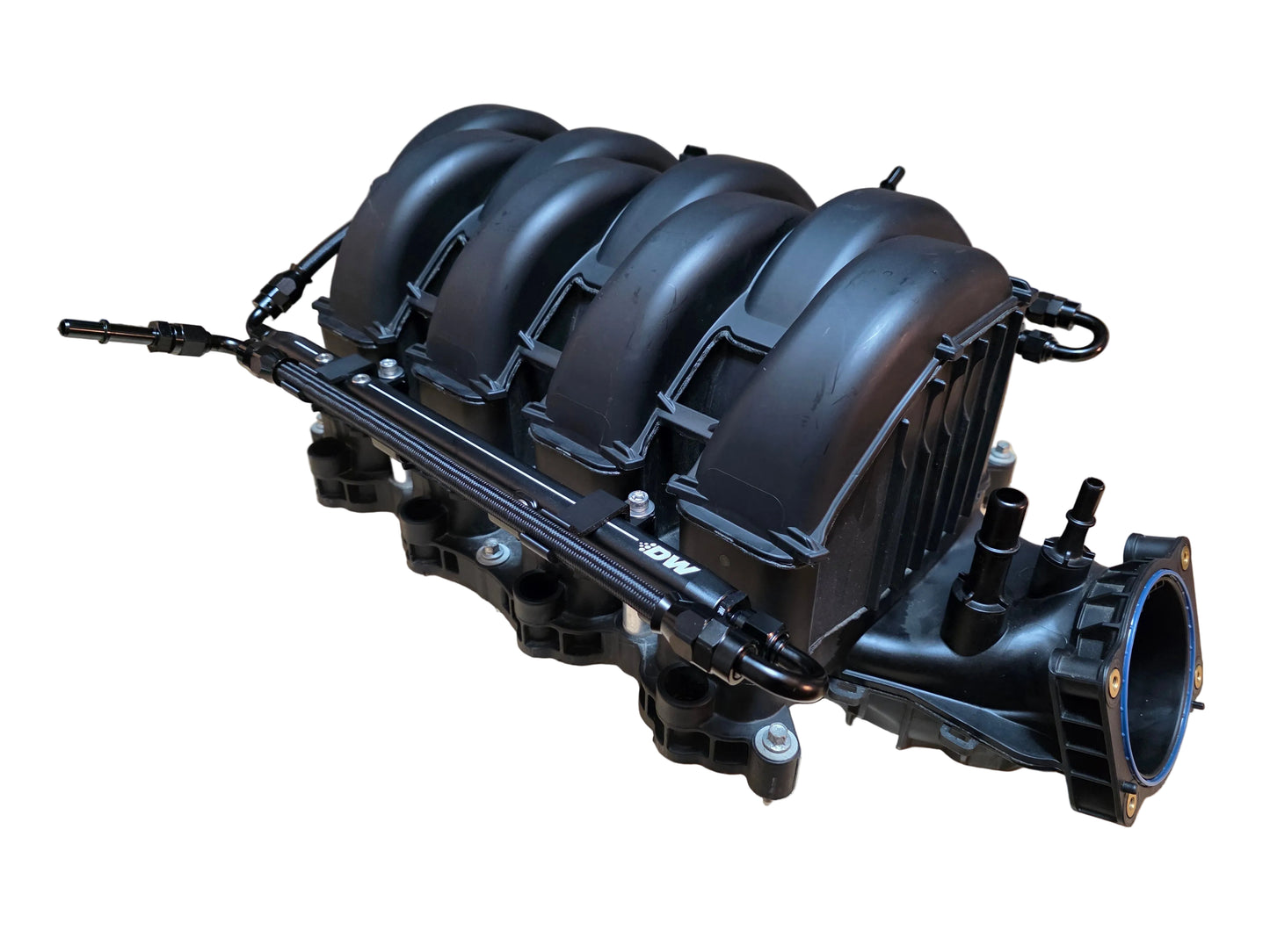 Preaux Tuning 21+ F150 5.0L Fuel Rail and Line Kit